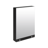 510209-Armoire miroir 3 fonctions