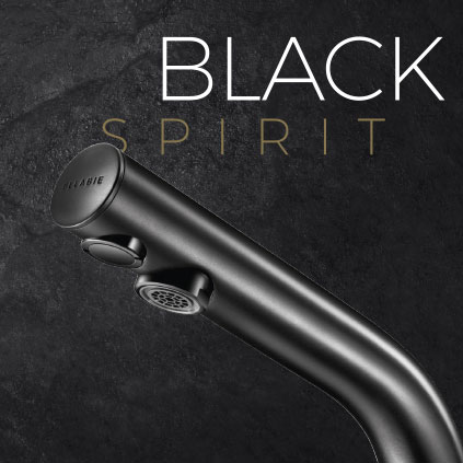 DELABIE Black Spirit