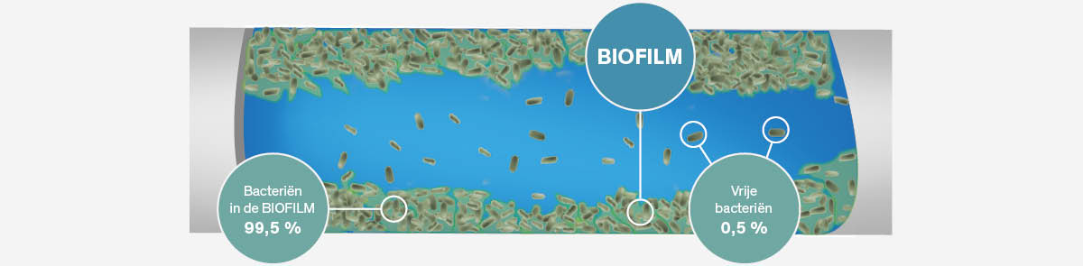 BIOFILM