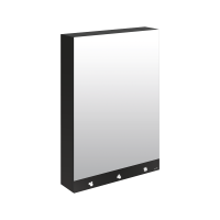 510203-Spiegelkast met 4 functies